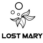 Lost Mary