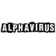 Alphavirus