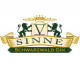 V-Sinne