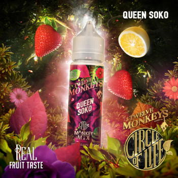 Queen Soko 50ml Shortfill Liquid by Twelve Monkeys Queen Soko 50ml Shortfill Liquid by Twelve Monkeys