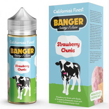 Strawberry Chunks (100ml) Plus e Liquid by Banger