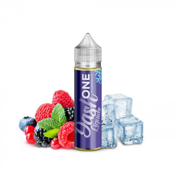 One Wildberries Ice 10ml LongFill Aroma by Dash Liquids