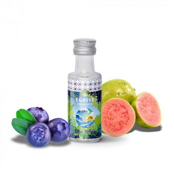 Blue Wave 20ml Aroma by EGOIST Flavors