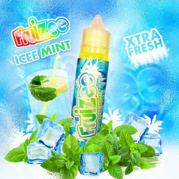 Icee Mint (50ml) Plus e Liquid by Fruizee