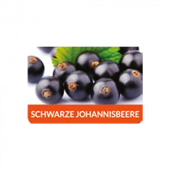 Schwarze Johannisbeere 10ml Aroma by FlavourArt Schwarze Johannisbeere 10ml Aroma by FlavourArt