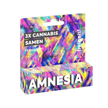 Freigeist Amnesia Feminisiert Cannabis Samen 3er Pack