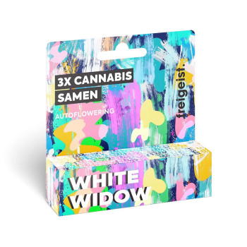 Freigeist White Widow Autoflowering Cannabis Samen 3er Pack