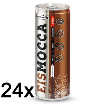 Hochwald Eis-Mocca 24x 250ml