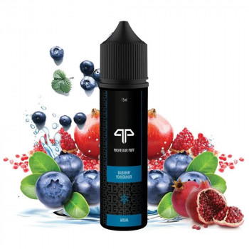 Blueberry Pommegranate 15ml Longfill Aroma by Professor Puff
