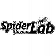 Spider Lab