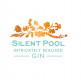 Silent Pool