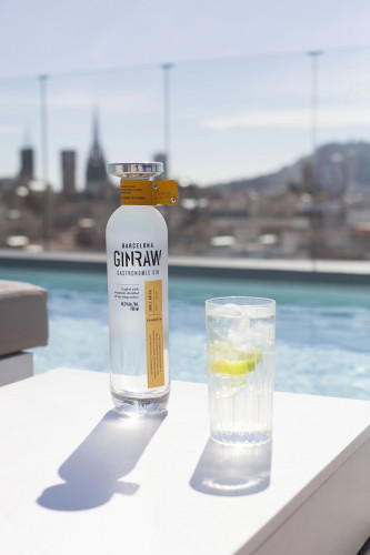 GinRaw Gastronomic Gin 42,3% 700ml