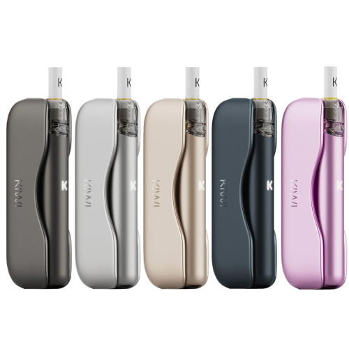 KIWI 2 Pod System Kit Silber