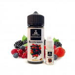 Beerenmix 10ml Longfill Aroma by Aroma Syndikat