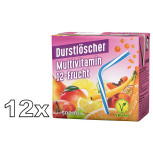 Durstlöscher Multivitamin 12-Frucht EErfrischungsgetränk 12x500ml