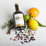 GINSTR Stuttgart Dry Gin 44%Vol. 500ml