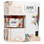 G'Vine Gin JUNE französischer, sommerlicher Gin Liqueur Geschenkset 30% + Scavi & Ray Prestige - 700 ml