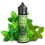 OWL Salt Spearmint Longfill Aroma