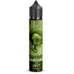 Revoltage Magic Mint Aroma Longfill 15ml